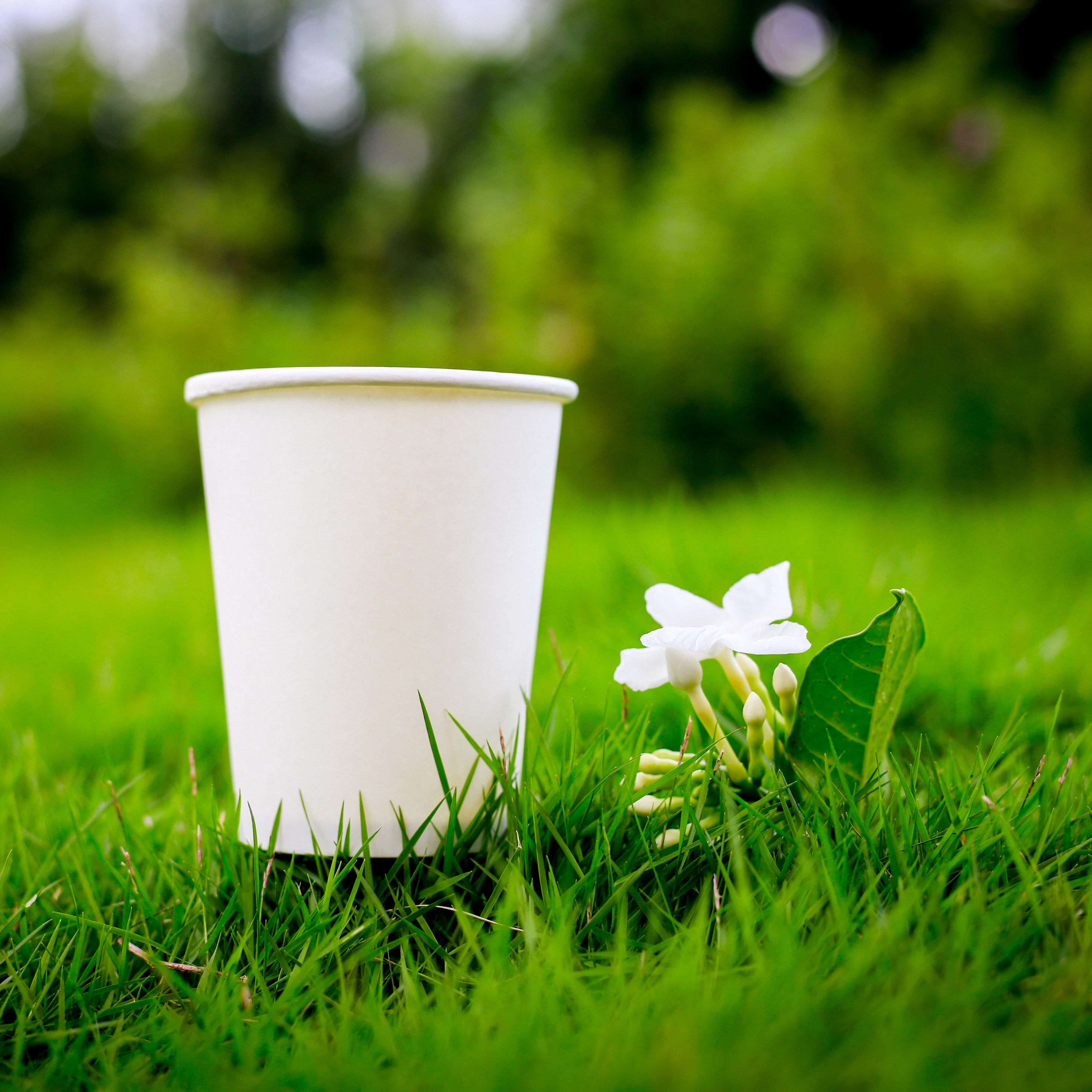 50 ly giấy đựng café nóng kèm nắp đen 270ml 9oz dùng 1 lần COGI