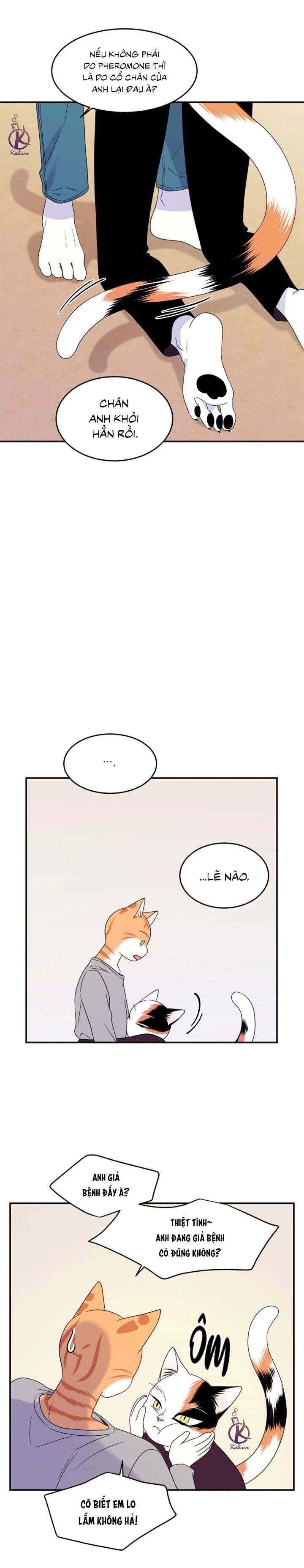 dự án xanh chapter 27 19