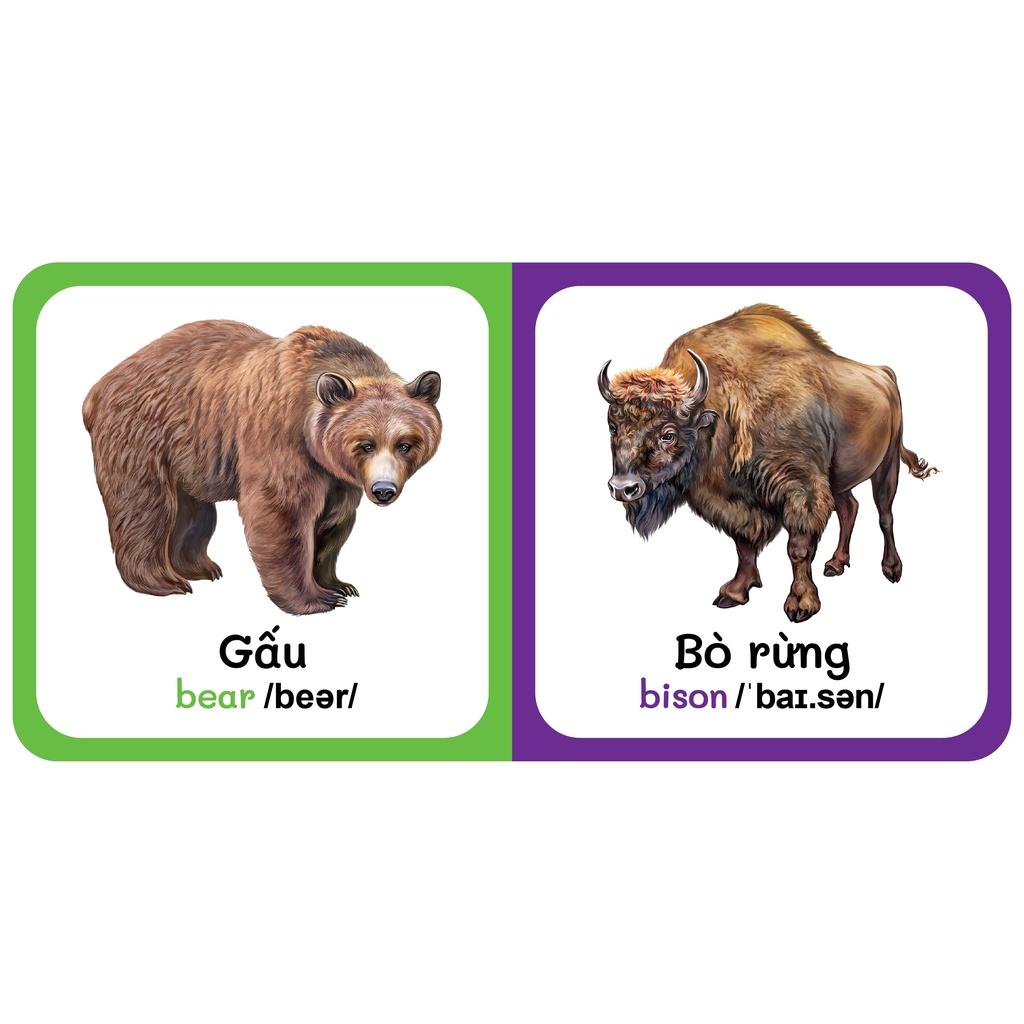 Sách - Baby'S First Picture Dictionary - Từ Điển Bằng Hình Đầu Tiên Của Bé - Động vật hoang dã - Wild Animals