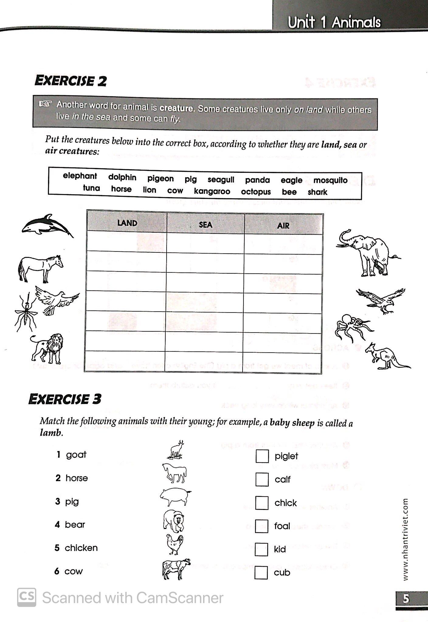 The Vocabulary Files A2 Pre - Intermediate (Không CD)