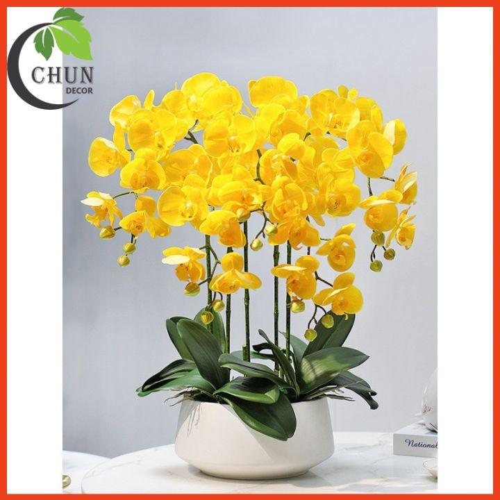 Chậu Lan Hồ Điệp Giả Cao 60cm Trang Trí Nhà Cửa, Cửa Hàng, Văn Phòng, Lớp Học CL5
