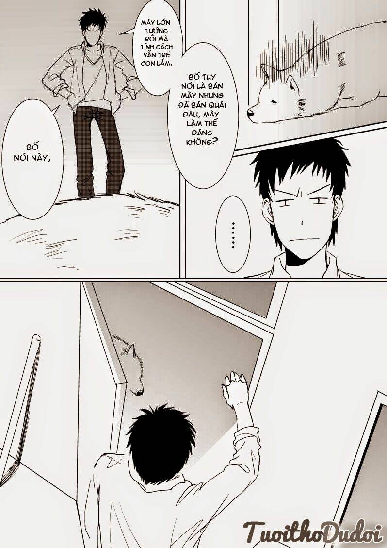 sự mê hoặc của sói chapter 9 14