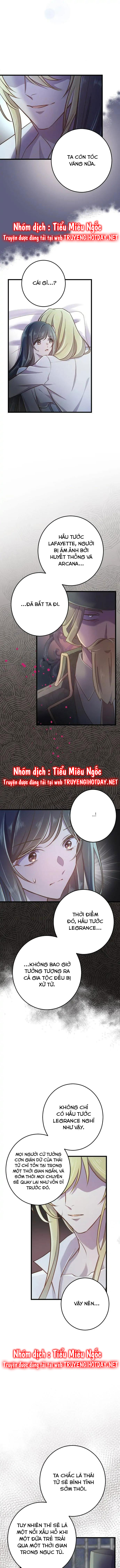 tình yêu thuần khiết chapter 51 8