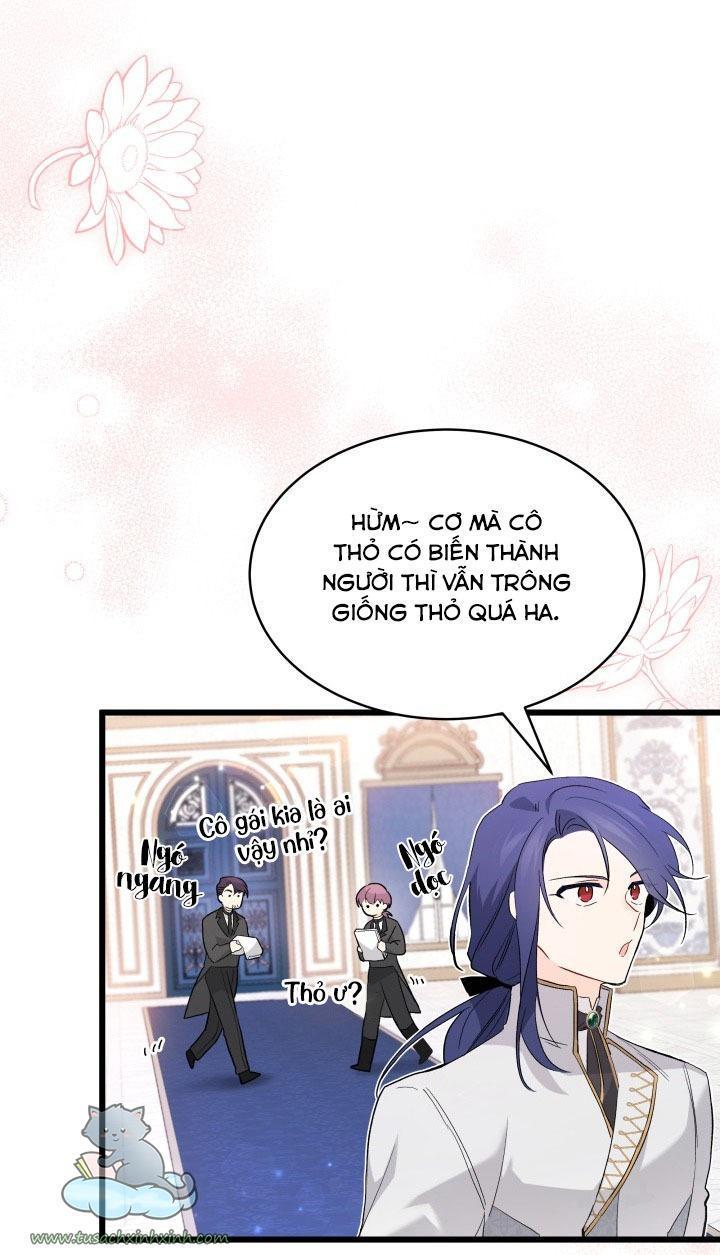 quan hệ cộng sinh giữa báo đen và thỏ trắng chapter 51 30