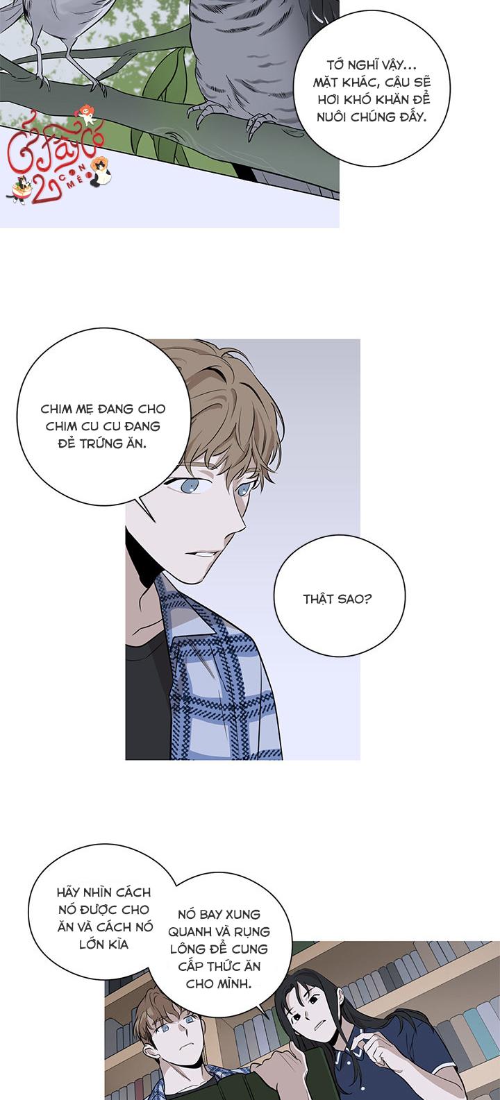 loài chim không bay chapter 2 4