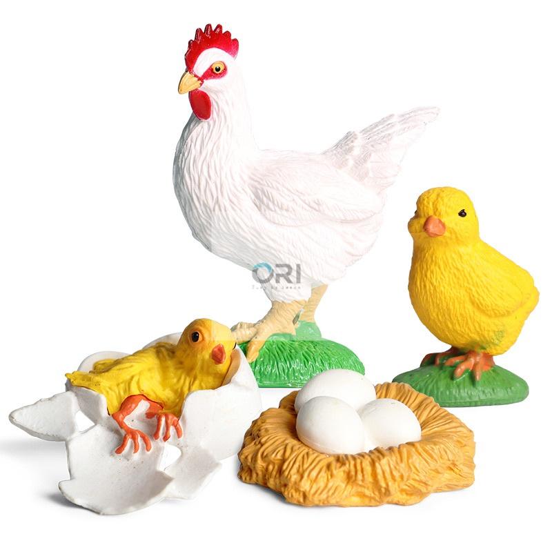 - Mô hình vòng đời của Gà -Học liệu Montessori - Chicken life cycle