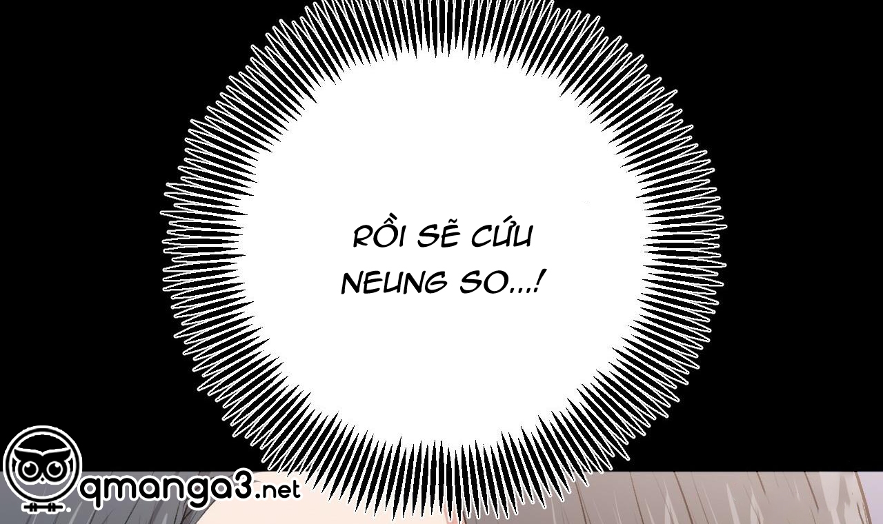 đàn thỏ của habibi chapter 45 147