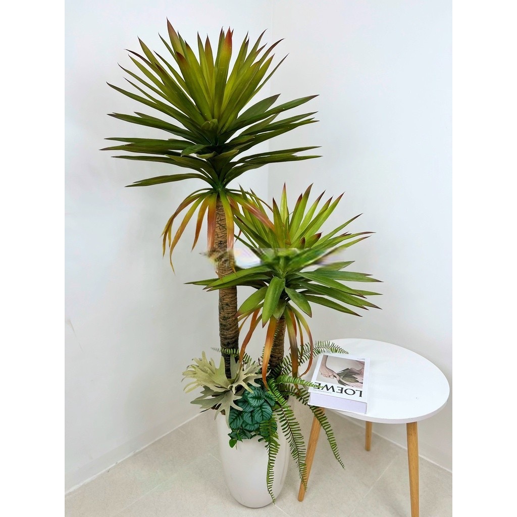 Cây phát tài núi giả - cao 150cm - gồm 2 nhánh - Cây giả, hoa lụa Decor trang trí nhà cửa
