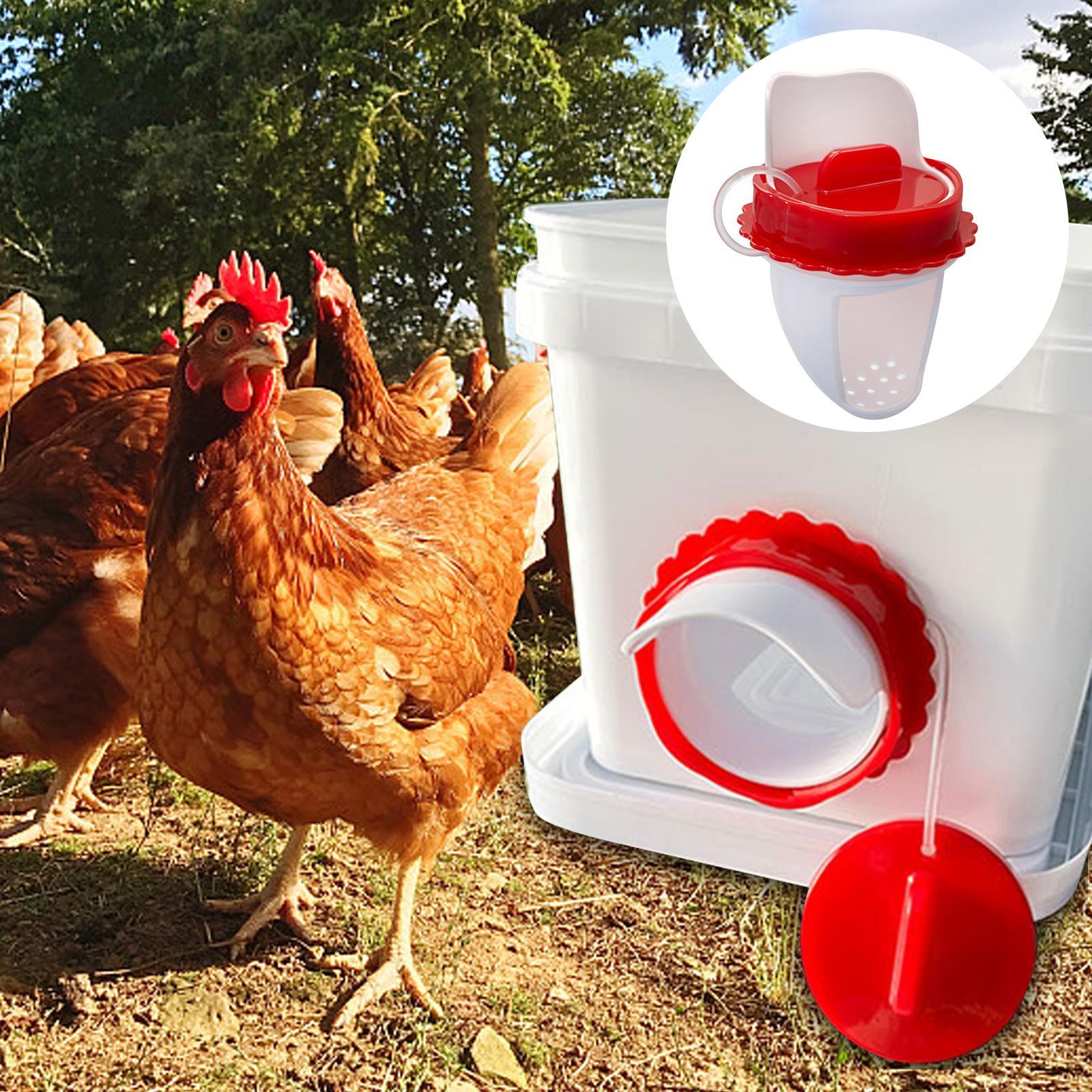 Poultry Feeders Weather Resistant Automatic Chicken Feeders for Boxes Tanks