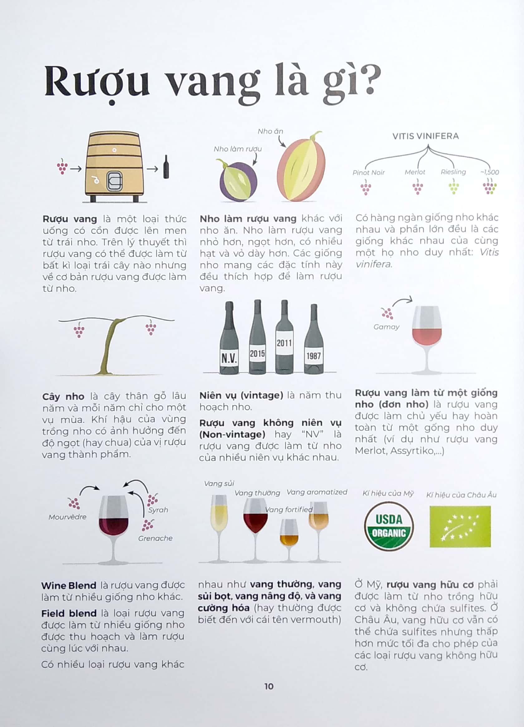 Wine Folly Toàn Tập (Phiên Bản Magnum)