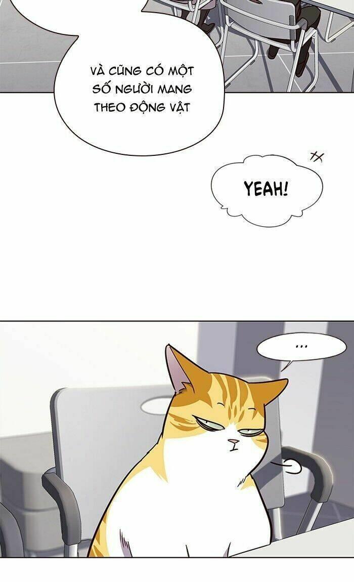 biến thân thành mèo chapter 62 68