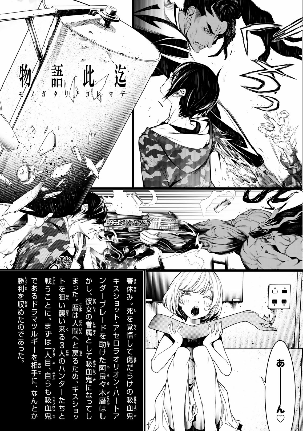 化物語 11 - Bakemonogatari Vol.11