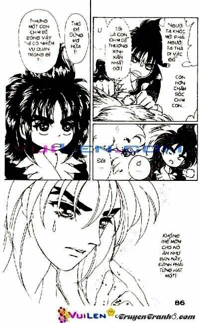 đóa hoa yêu kiều chapter 2 87