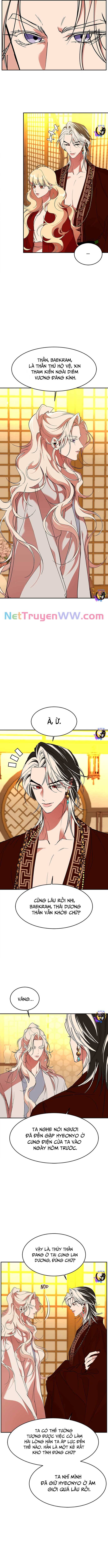 chiến lược săn hổ của nữ thần chapter 62 2