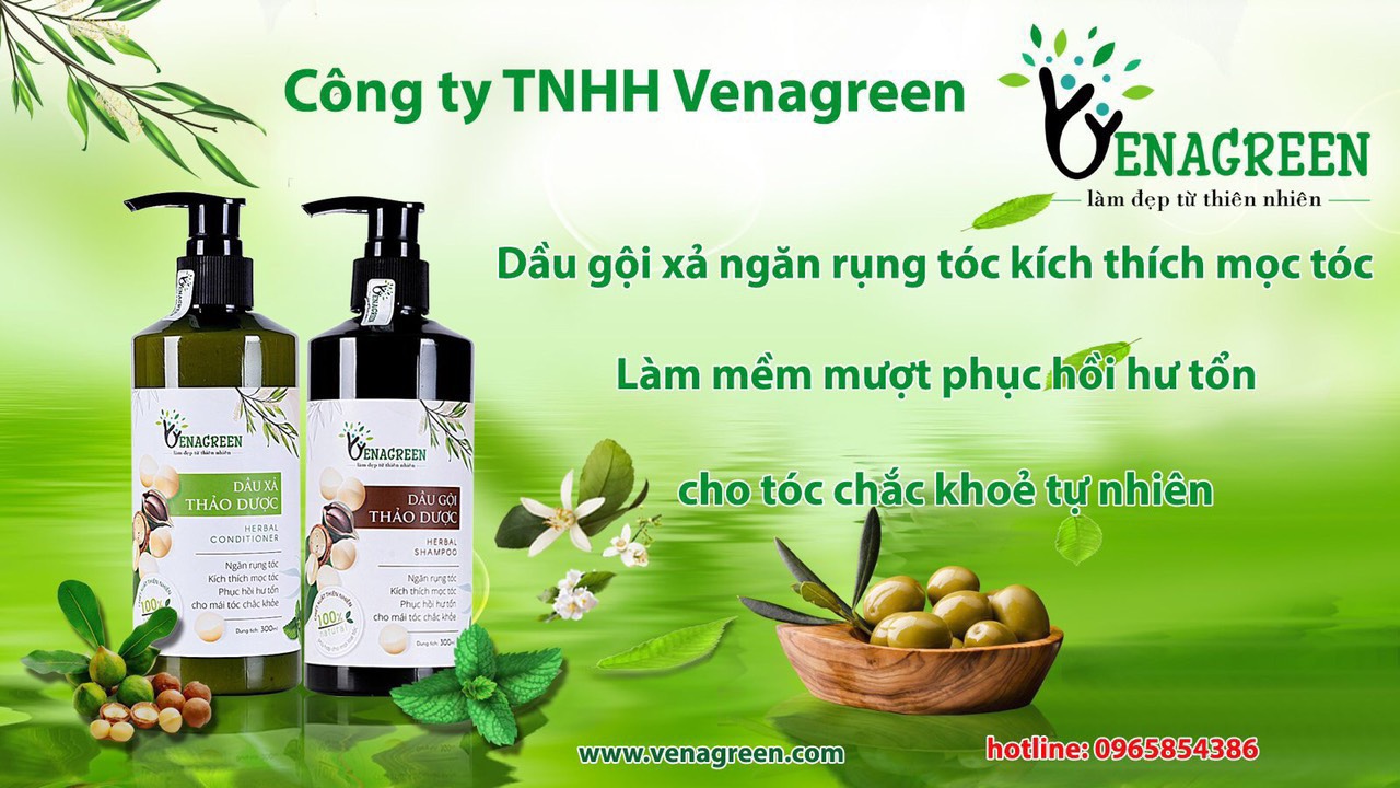 Cặp dầu gội xả thảo dược 300ml VENAGREEN chống xơ tóc, rụng tóc, chăm sóc tóc hư tổn