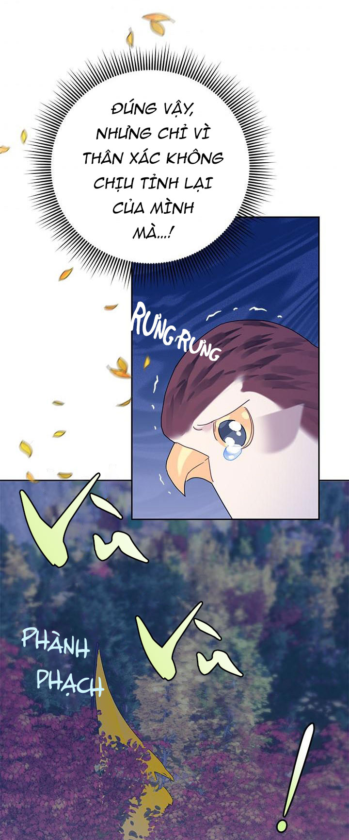 công chúa của loài chim chapter 37.2 15