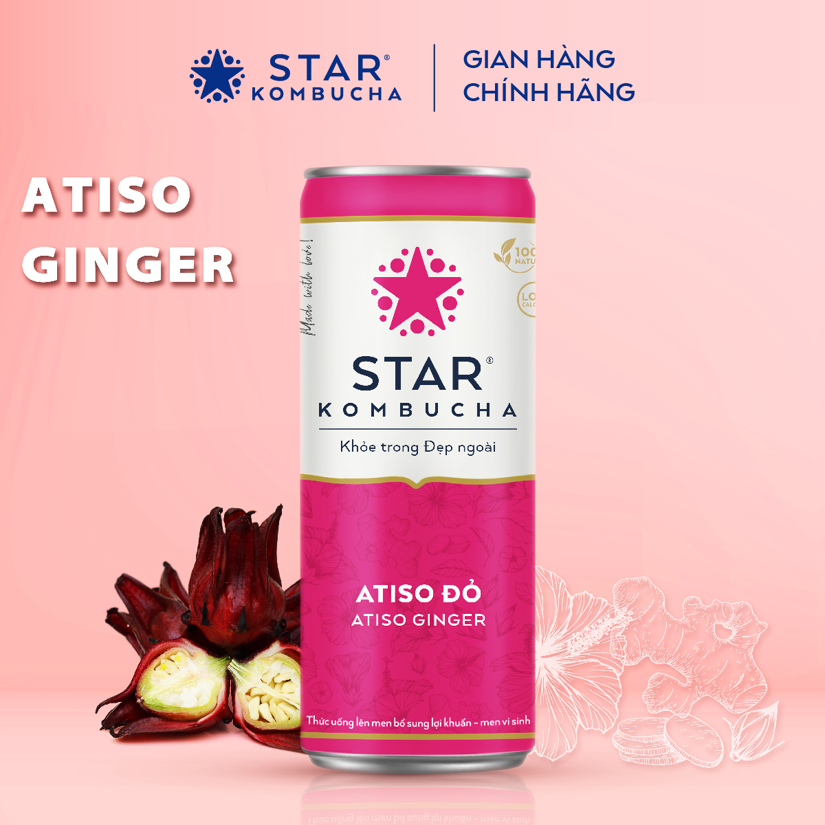 Thùng 12 lon thức uống lên men STAR KOMBUCHA Atiso đỏ / Atiso Ginger