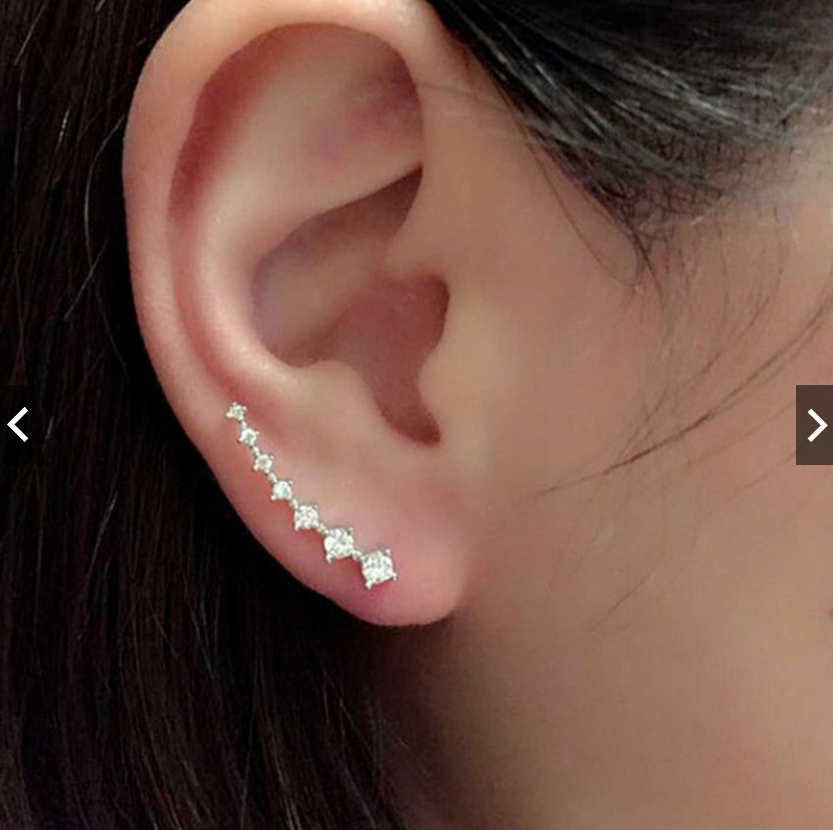 Hoa tai đính đá nhân tạo sang trọng phong dành cho nữ. cá tính
