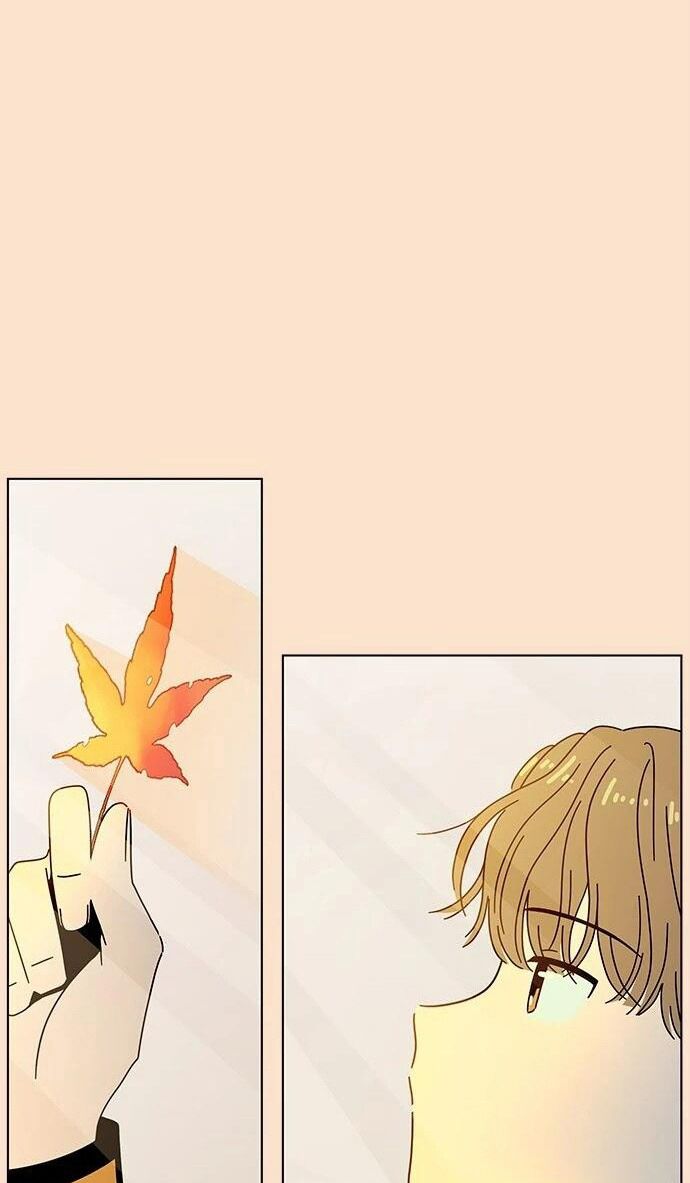 thanh xuân rực rỡ - season of blossom chapter 87 8