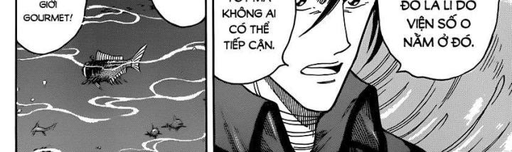 thánh tỏi sành ăn chapter 327 20