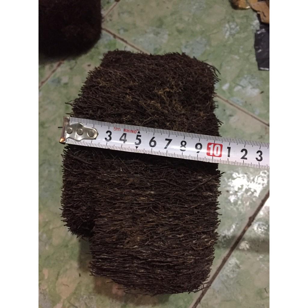 Cặp dớn ghép lan đường kính trên 20cm cao 10 cm