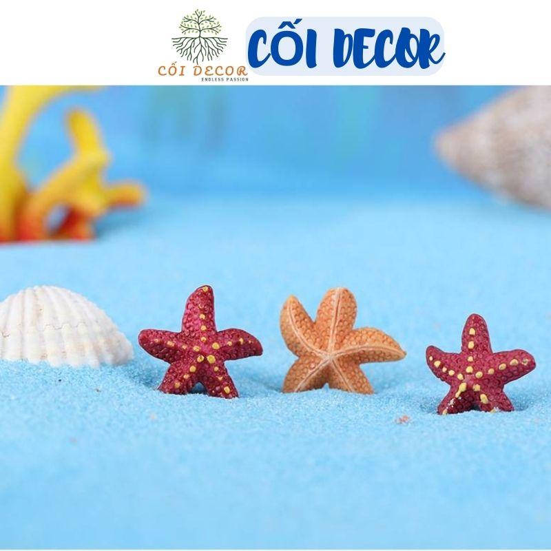 Tiểu cảnh mini ️ Mô hình sao biển trang trí tiểu cảnh, sen đá, sân vườn, terrarium