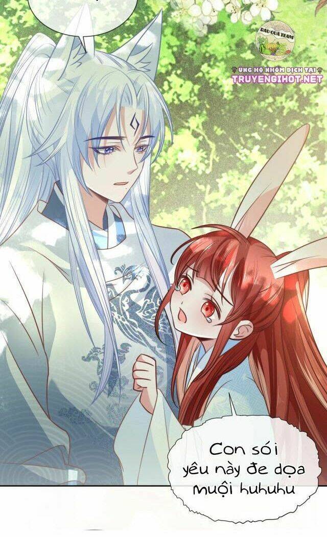 hắc hóa nam chính trực tuyến nuôi thỏ chapter 17 30