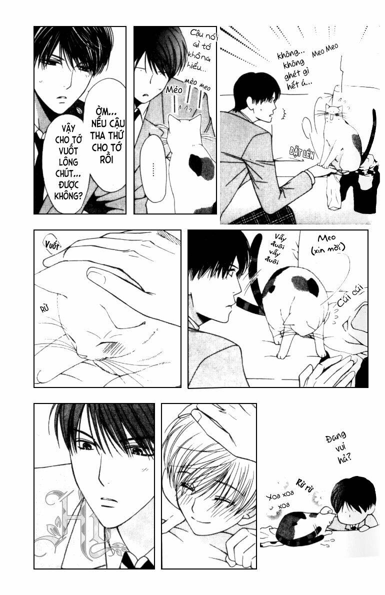 neko neko honey chapter 5 14