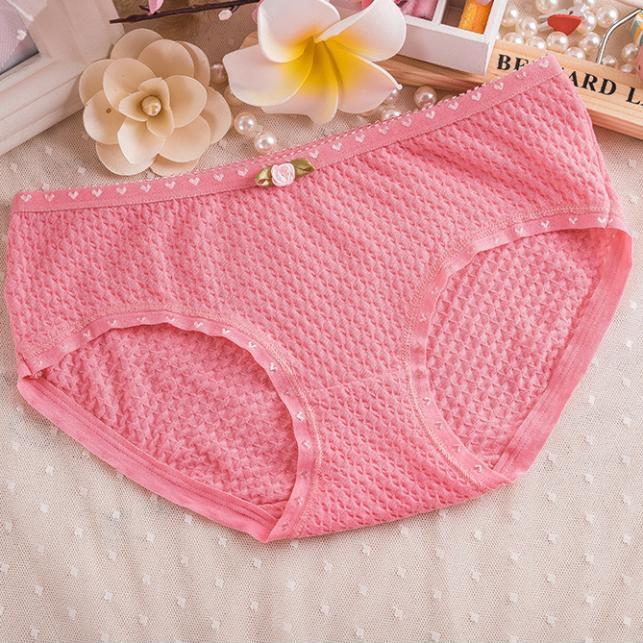 Combo 5 quần lót nữ Cotton QL 8108-1