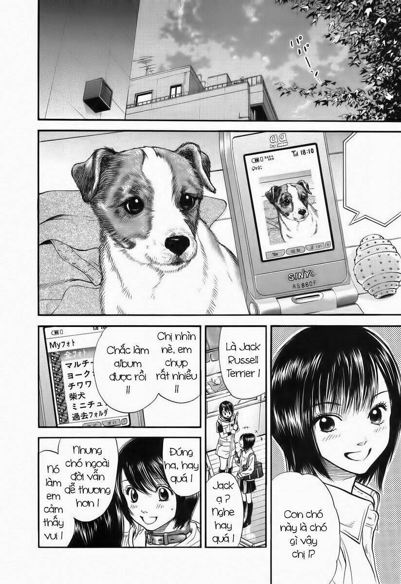cô nàng yêu chó chapter 41 10