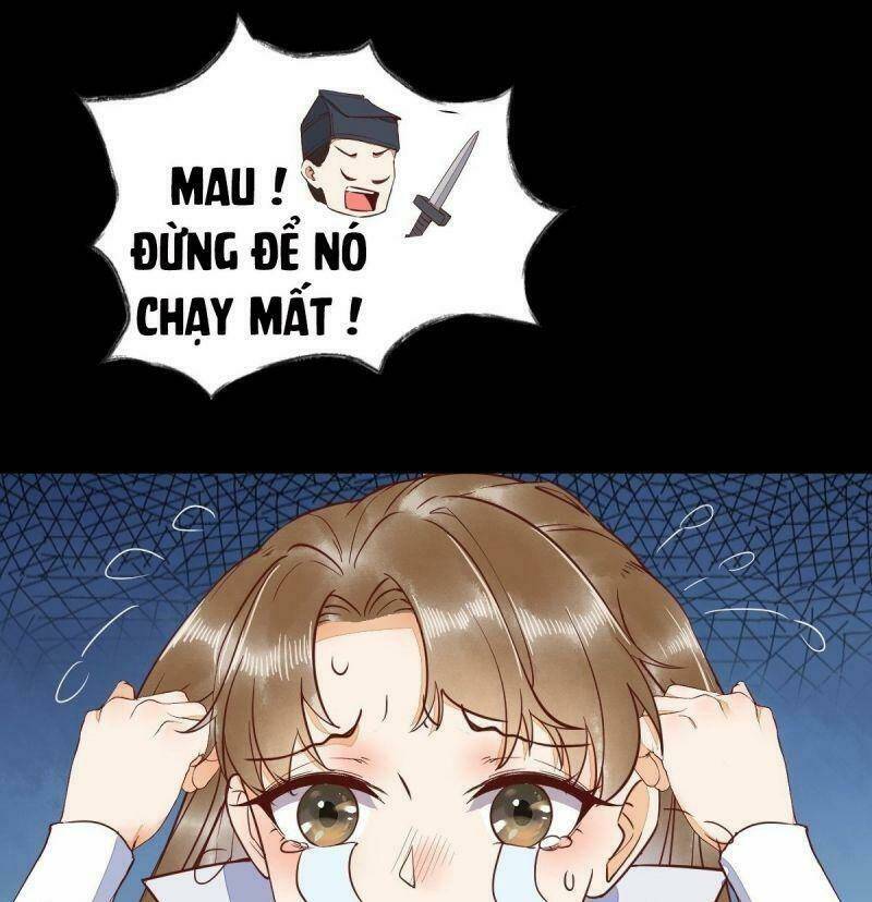 sát thủ vương phi không dễ chọc chapter 37 40