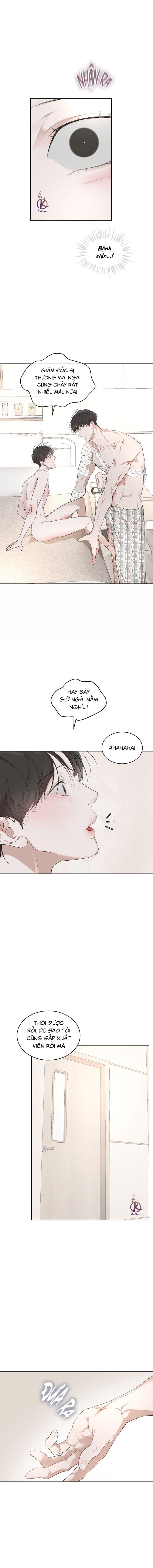 hình thái khởi sinh chapter 66 14