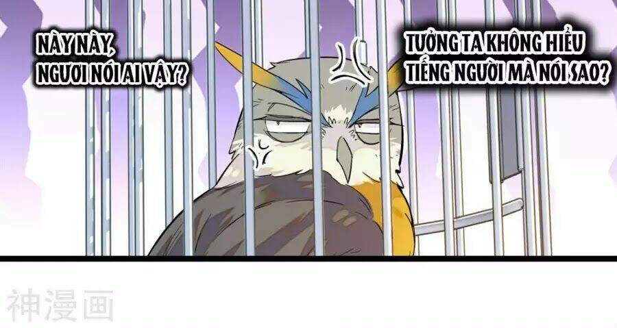 huyết túc khế ứớc chapter 5 53