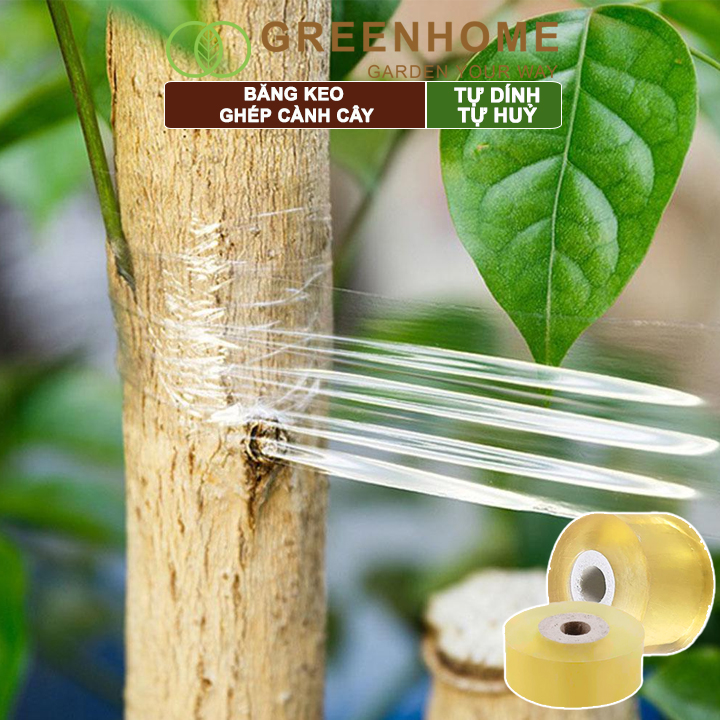 Keo Ghép Cành Greenhome, Tự Dính, Tự Huỷ, Bảo Vệ Mối Ghép Nhanh Liền, Dễ Sử Dụng, Nhiều Kích Thước