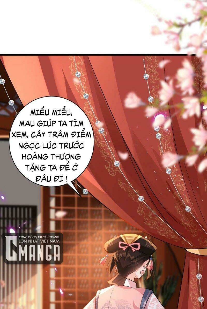 quận chúa vững vàng, thiết lập nhân vật không thể vỡ chapter 68 6