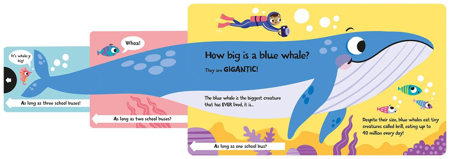 Sách ngoại văn: Slide And Seek - How Wide Is A Whale?