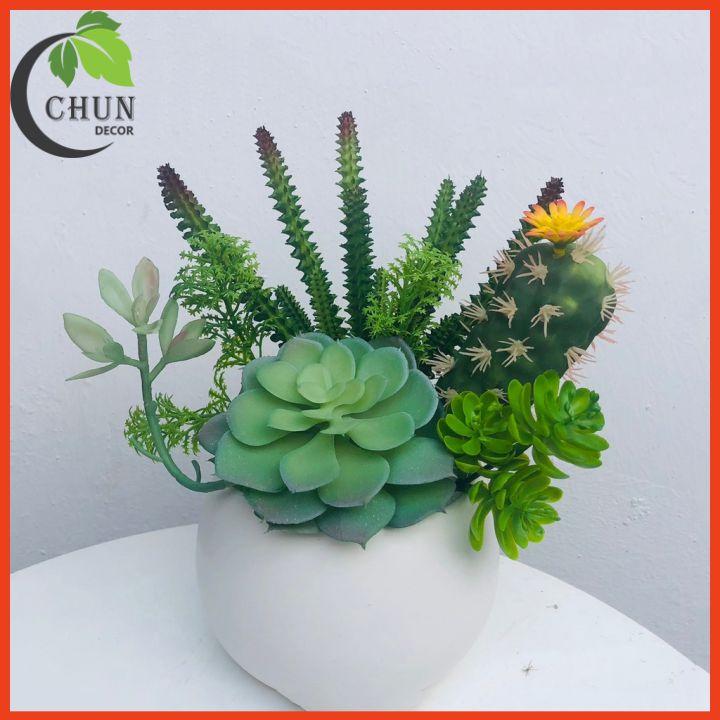 Chậu Sen Đá Giả Trang Trí Bàn Kệ Tủ Giá Sach Cao 15-20cm