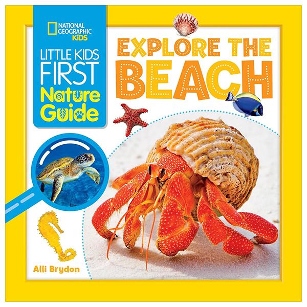 Sách ngoại văn: Little Kids First Nature Guide - Explore The Beach