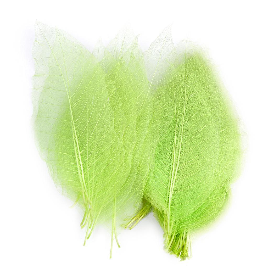 100 Pieces Natural Plant Leaves for Craft Cards Scrapbooking Bookmark DIY