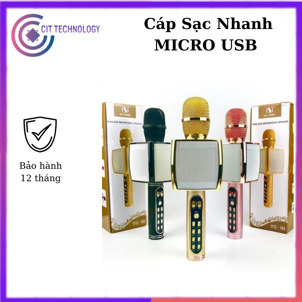 MICRO karaoke bluetooth WS 858 không dây có loa