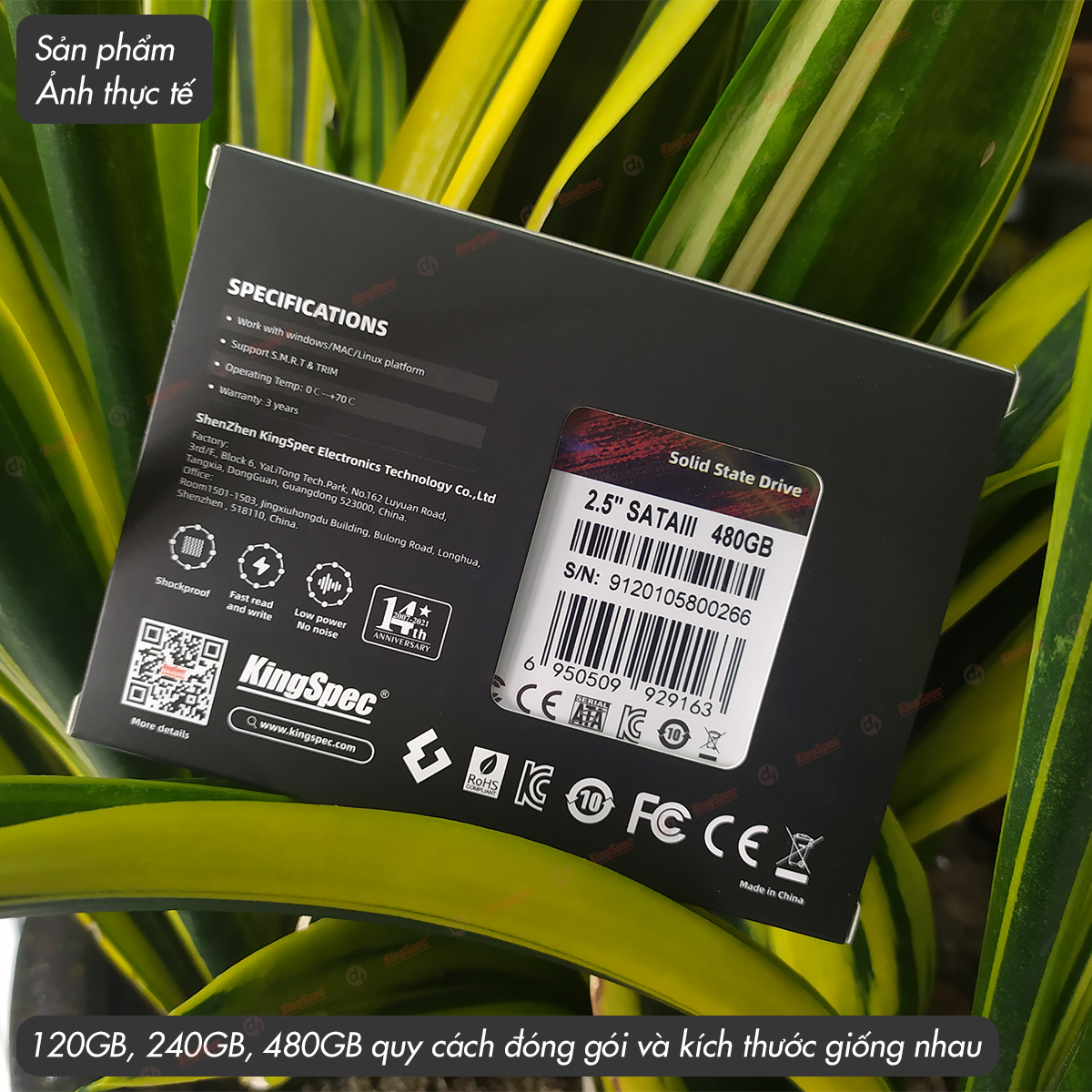 Ổ cứng SSD KingSpec 480GB SATA 2.5 / P4 480G - Hàng Chính Hãng