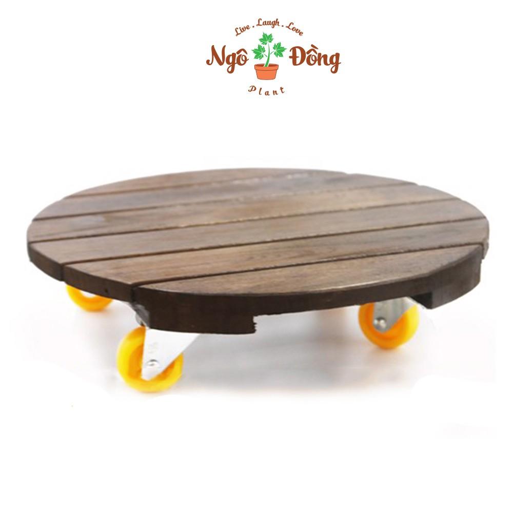 Đế Lót Chậu Cây Cảnh Gỗ Tràm Có Bánh Xe Tròn R30cm Chịu Lực Lên Đến 120kg