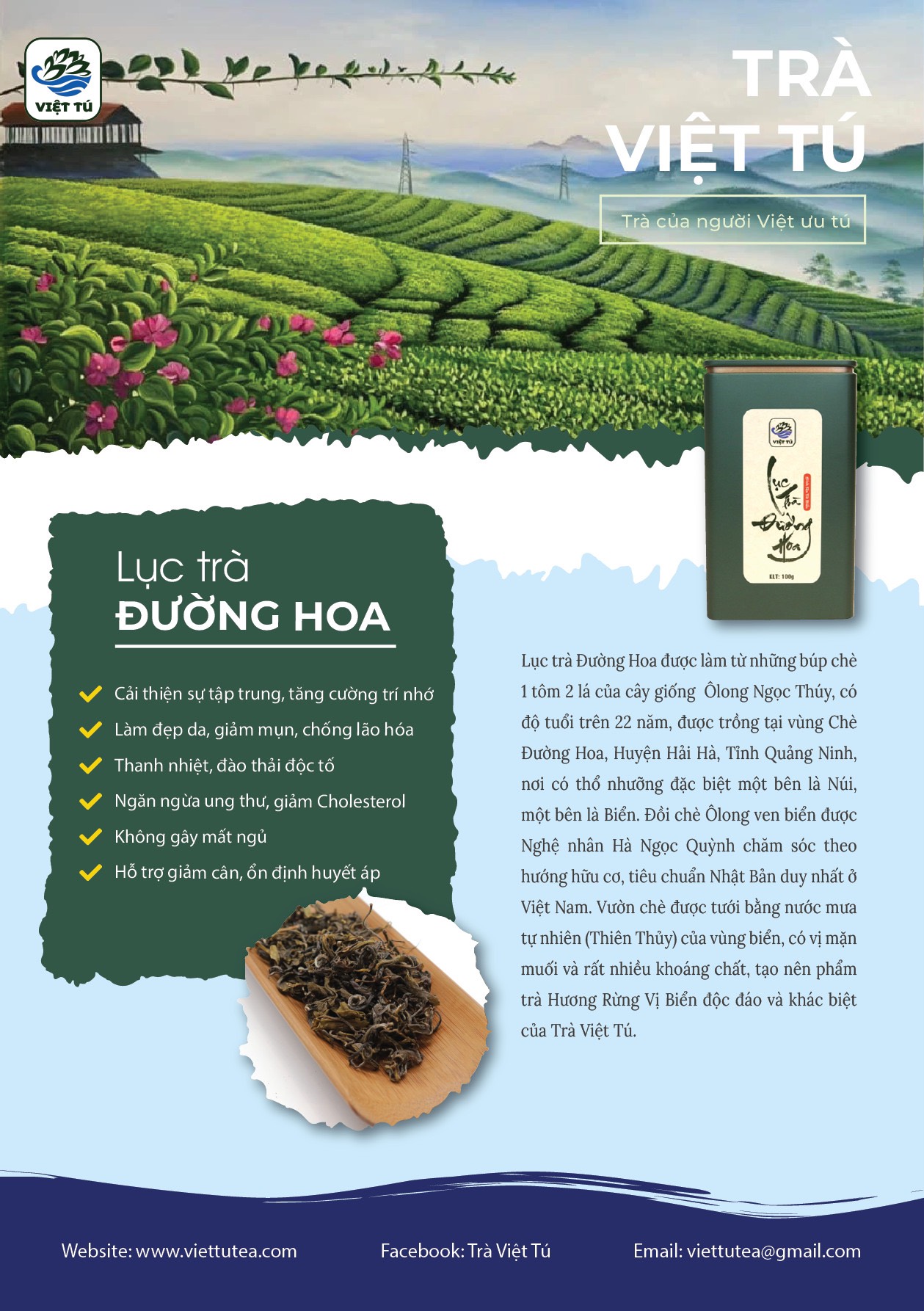 Lục Trà Đường Hoa, Trà xanh Đường Hoa, Tinh hoa Trà cho người Việt