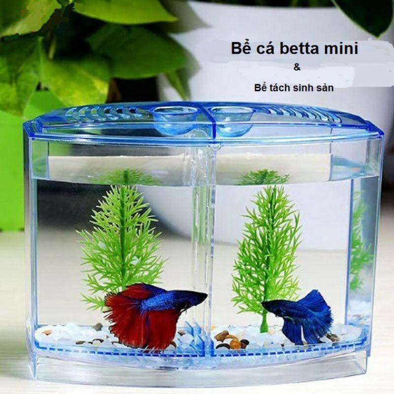 Bể nhựa nuôi cá betta 18x14x10cm