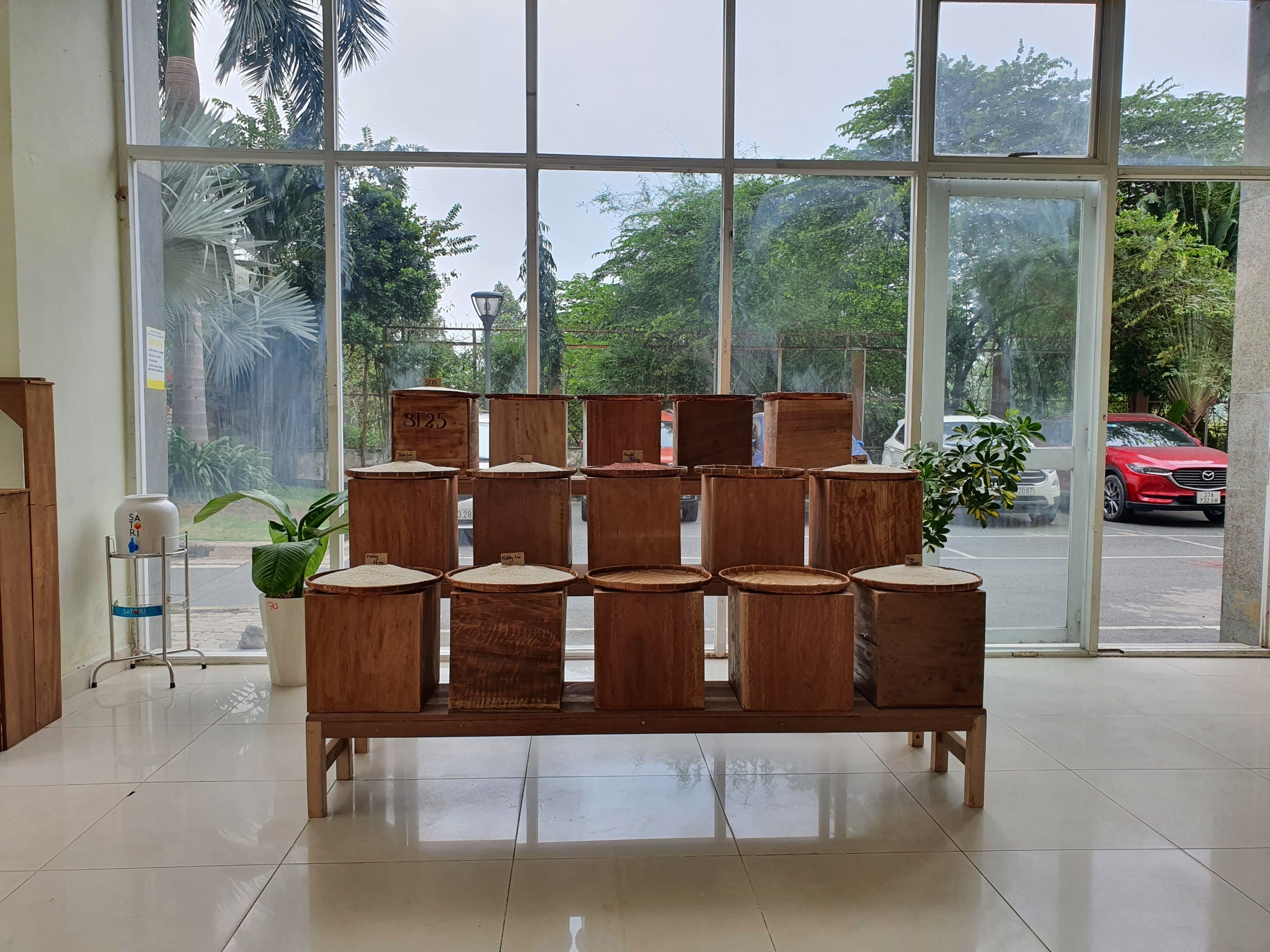 Gạo ST25 - Túi 5 kg - Dẻo, thơm, mềm cơm