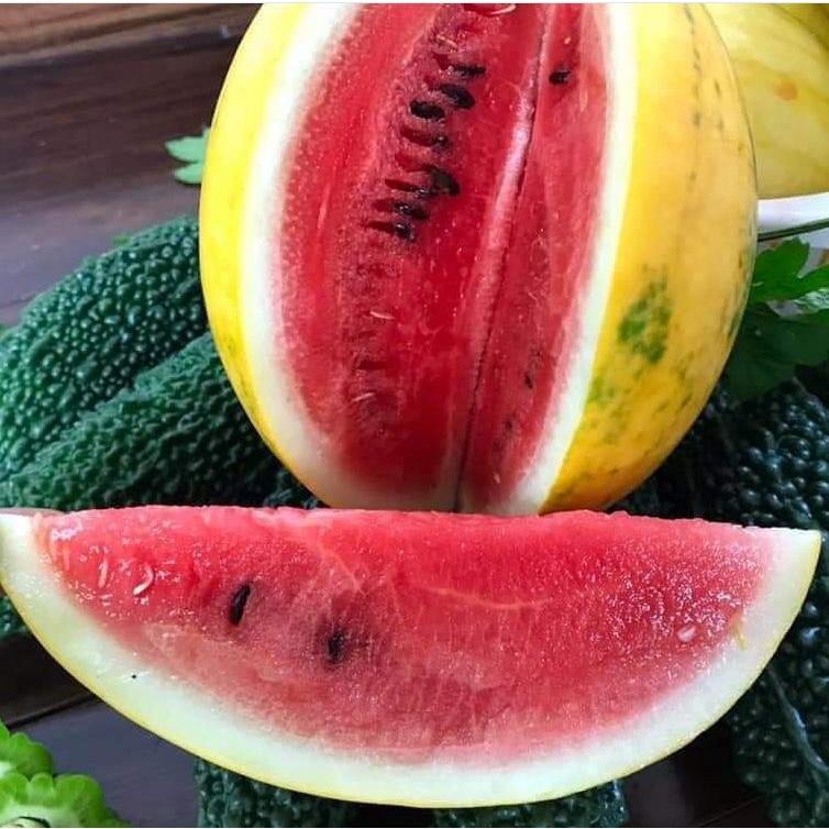 Hạt giống dưa hấu vỏ vàng ruột đỏ f1- Gói 10 hạt-tặng kèm gói phân bón lót
