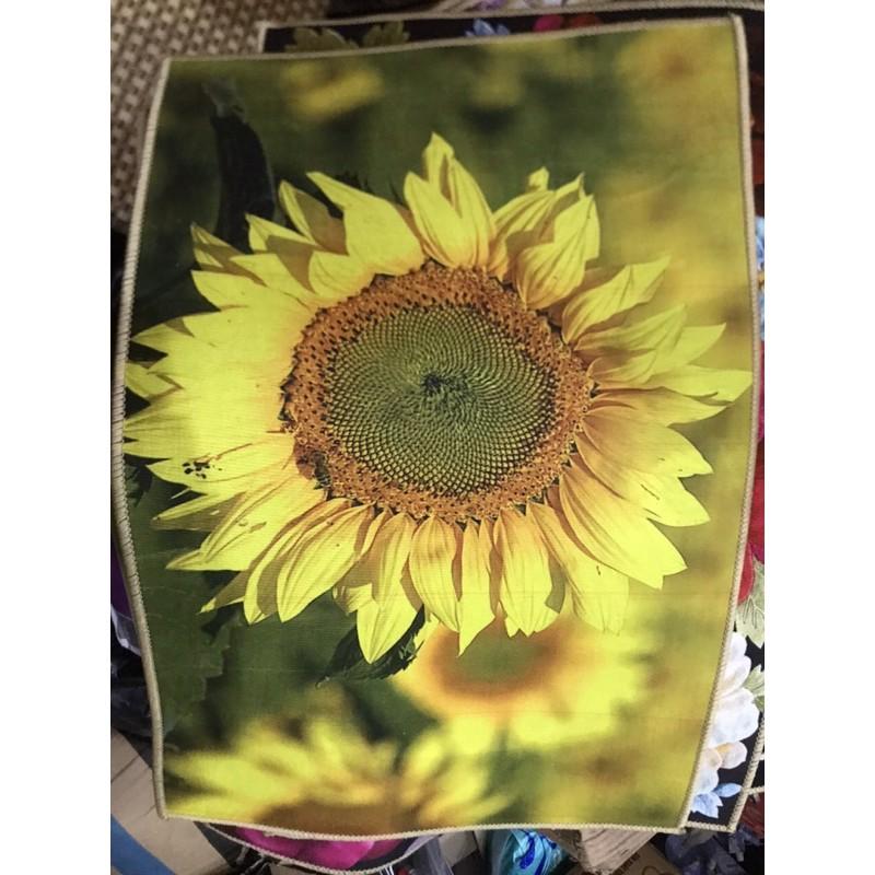 Thảm chân 3d, thảm thấm hút, lau chân