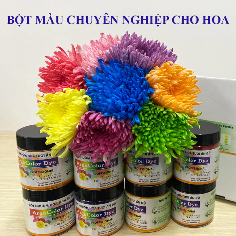 BỘT NHUỘM HOA TƯƠI CHUYÊN NGHIỆP GIÚP ĐỔI MÀU HOA CẮT CÀNH NHẬP KHẨU ẤN ĐỘ (HỦ 110GR pha 12L nước nhuộm hoa tươi)