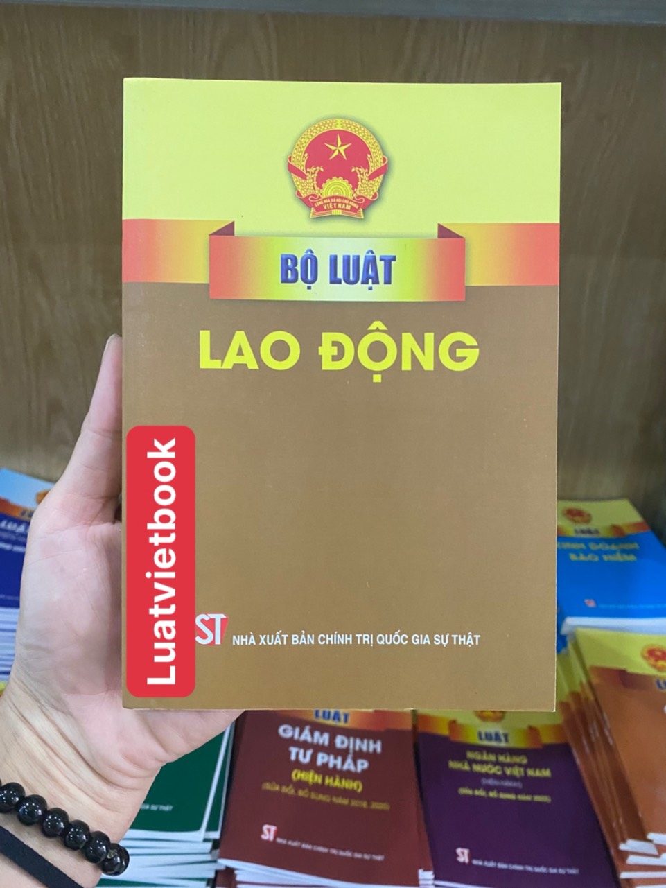 Bộ Luật Lao Động ( Hiện hành ) 