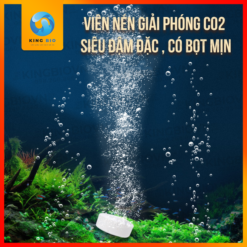 Viên sũi CO2 cao cấp – an toàn cho cá, tốt cho cây thủy sinh